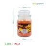 Candela arancia speziata 510g con misure 14x9,8 cm, Made in Italy