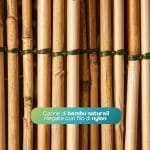 Dettaglio canniccio in bambù naturale legato con filo nylon, arella resistente da esterno