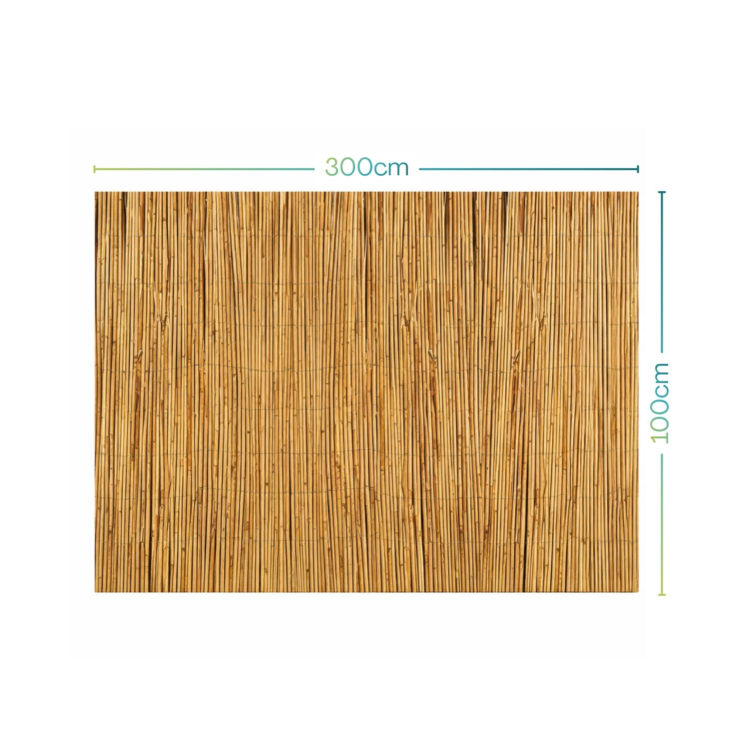 Arella bambù 300x100 cm frangivista per balcone giardino e gazebo, schermatura sole naturale