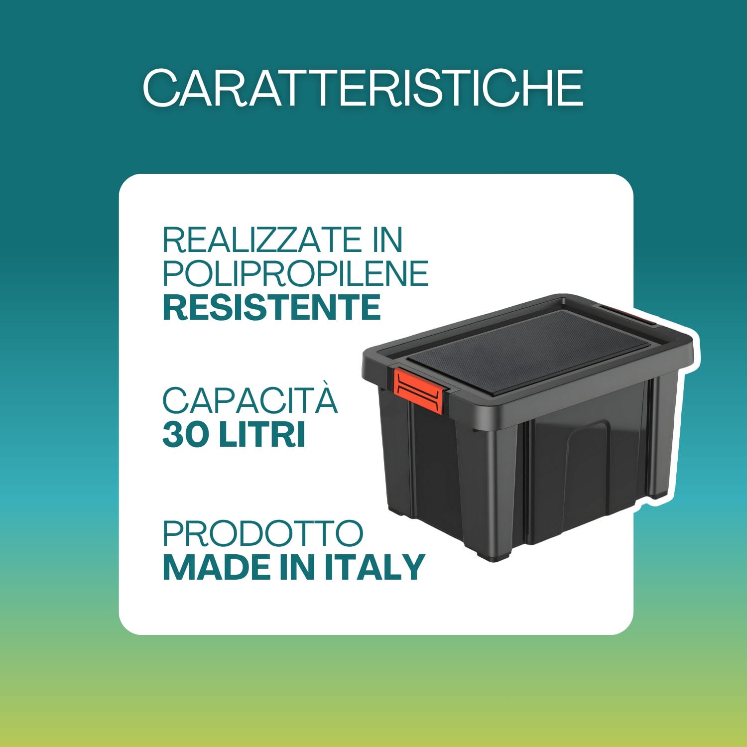 Box porta attrezzi 30 litri in polipropilene resistente Made in Italy