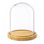 Campana in vetro trasparente con base in legno per esposizione e decorazioni