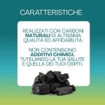 carbone caratteristiche Carbone vegetale di legna naturale senza additivi per barbecue