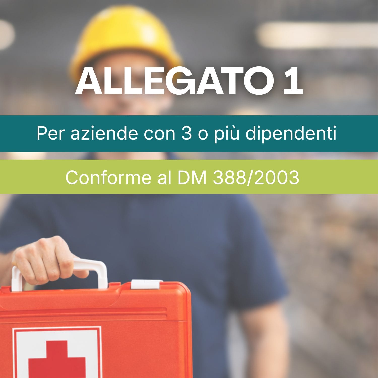 cassetta medica allegato 1 REINTEGRO normative