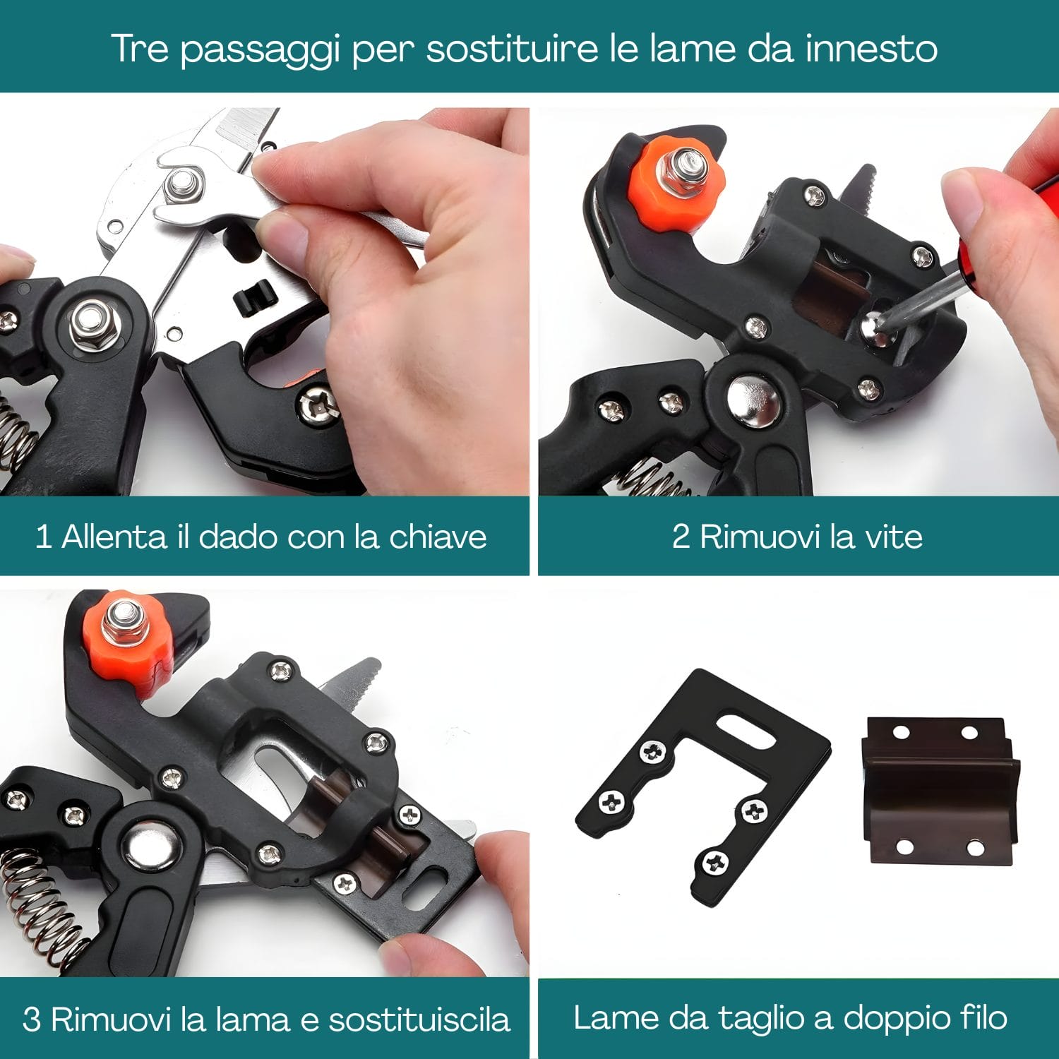 cesoie per innesto e potatura istruzioni Cesoia da innesto con lame sostituibili e istruzioni di montaggio passo passo