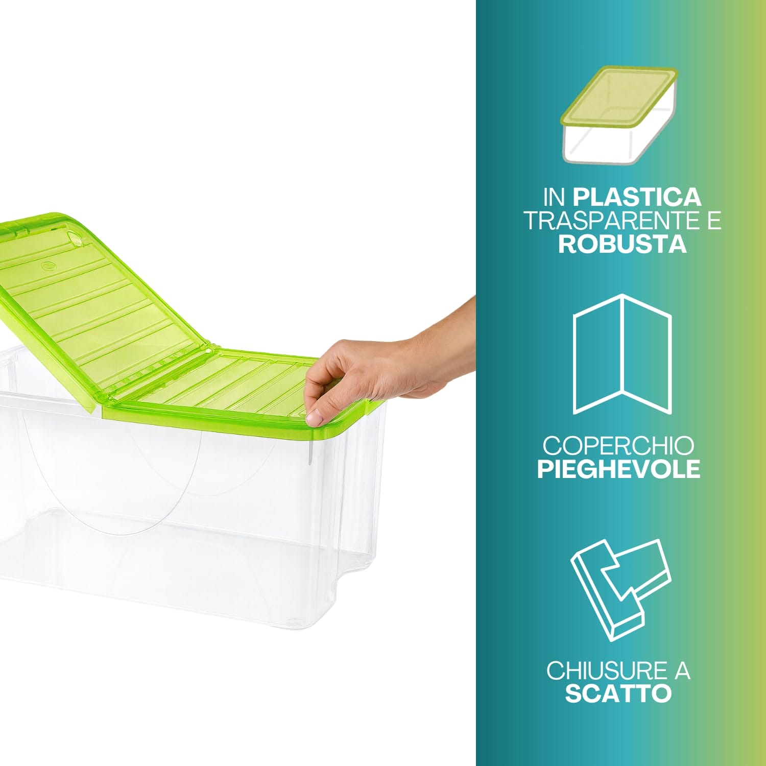 Contenitore plastica trasparente con coperchio verde pieghevole e chiusura a scatto