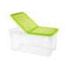 Box contenitore trasparente con coperchio verde pieghevole pratico e resistente