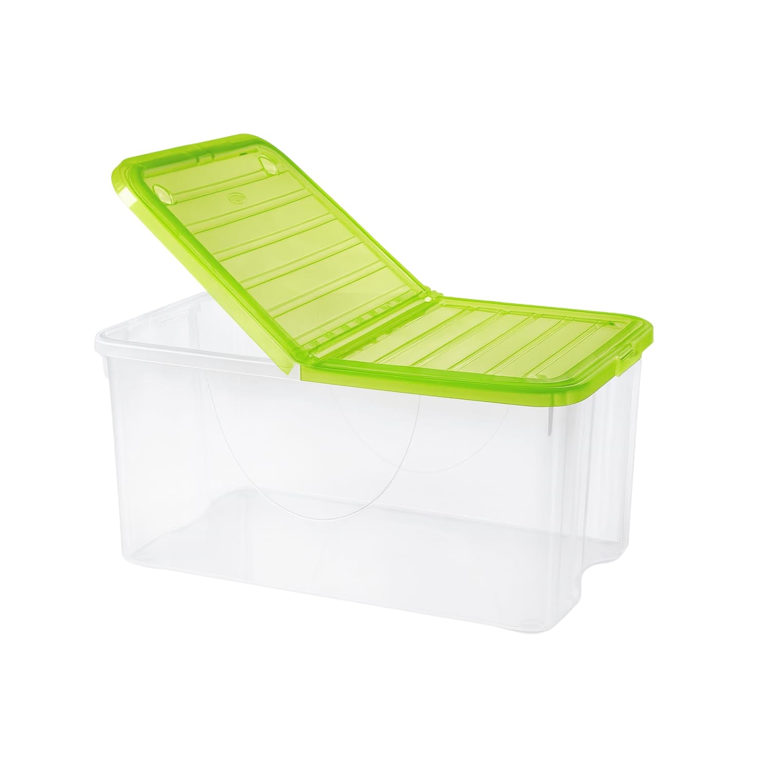 Box contenitore trasparente con coperchio verde pieghevole pratico e resistente