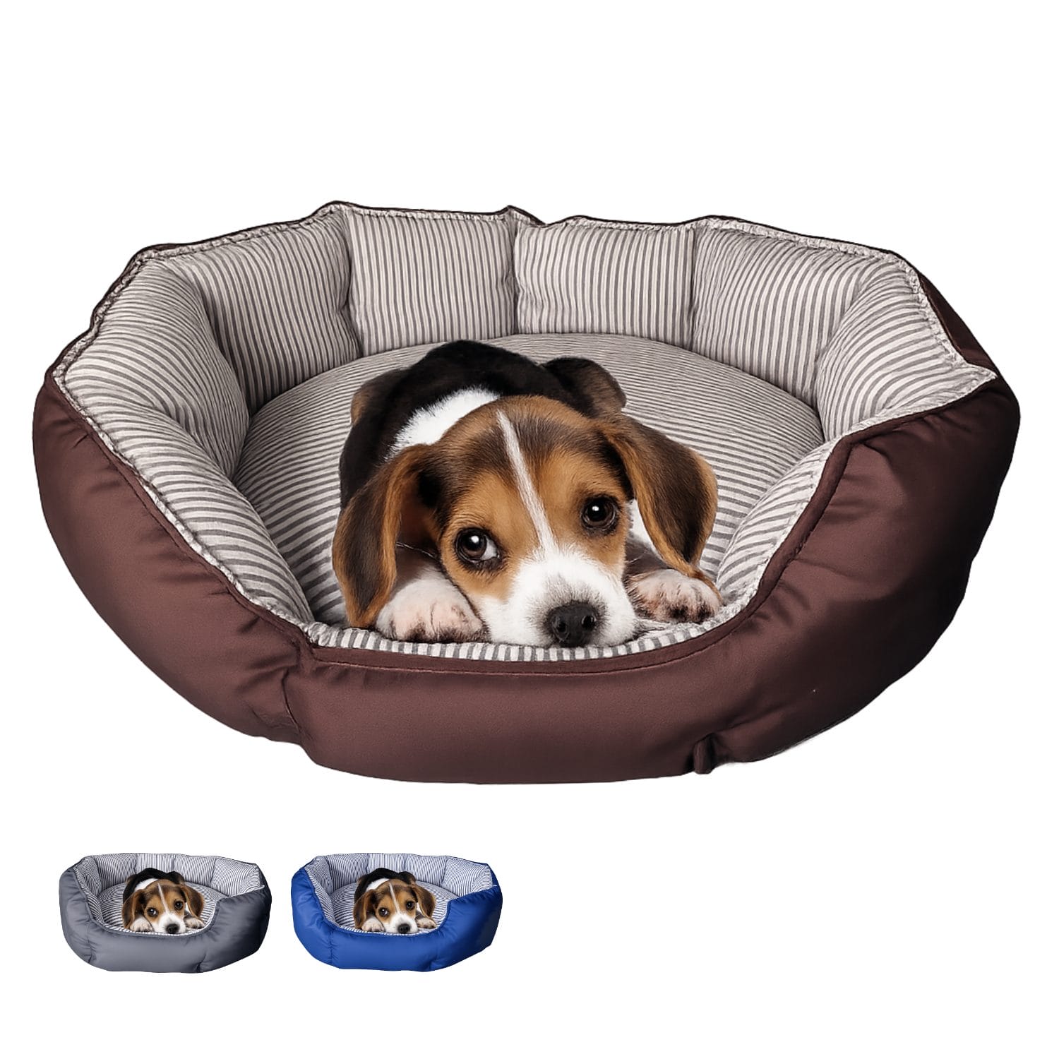 Cuccia morbida marrone per cani e gatti con cuscino imbottito e bordi rialzati, misura 63x54x20 cm