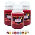 Set candele profumate ai frutti rossi in giara grande 510 g elegante
