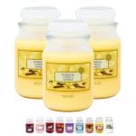 Set 3 candele profumate alla vaniglia in giara 510 g con tappo in vetro