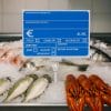 Cartellino PVC per pescheria esposto su banco del pesce con ghiaccio e crostacei