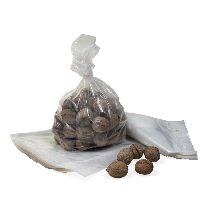 immagine-corografica-busta-media