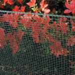 RETE PROTETTIVA-PLASTICA - BALCONE -VERDE
