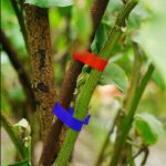 pinza-legatrice-manuale1