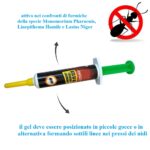 gel-formiche-dettaglioo