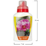 misure-orchidee