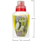 misure-cactus