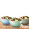 Set 3 insalatiere plastica 2L Ø20 cm riutilizzabili BPA free con insalata