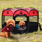 BOX-PIEGHEVOLE-ROSSO Box pieghevole per cani e gatti rosso Misura 74x74x43 cm