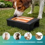 Contenitore esca per topi sicuro per animali domestici con chiusura protetta anti roditori