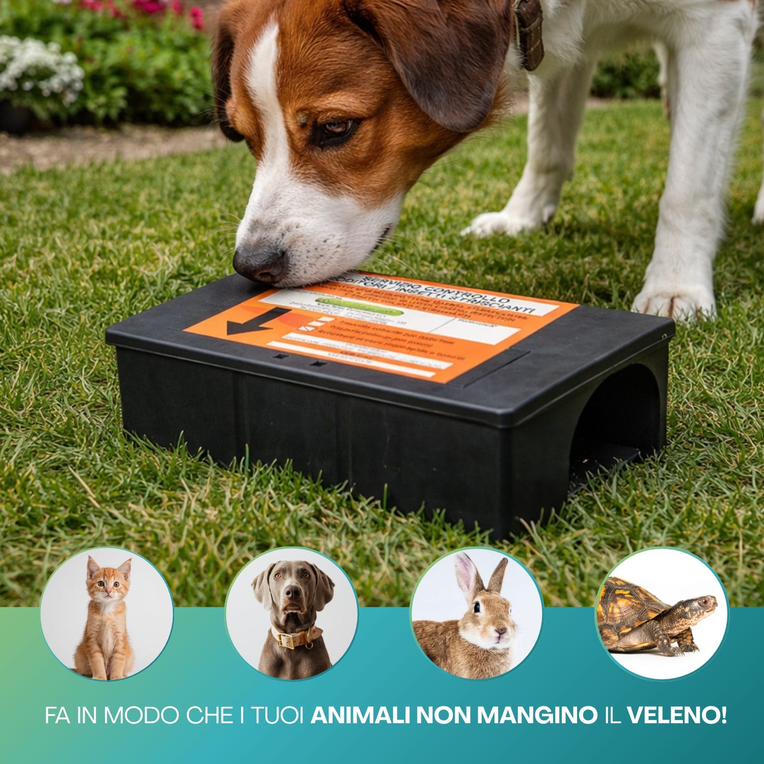Contenitore esca per topi sicuro per animali domestici con chiusura protetta anti roditori