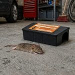 Trappola per topi con contenitore esca utilizzata in garage contro roditori