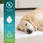 Traverse per cani 60x90 assorbenti con base impermeabile antiodore