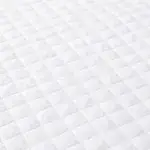 Tappetino igienico cane 60x90 con polimeri attivi antiodore