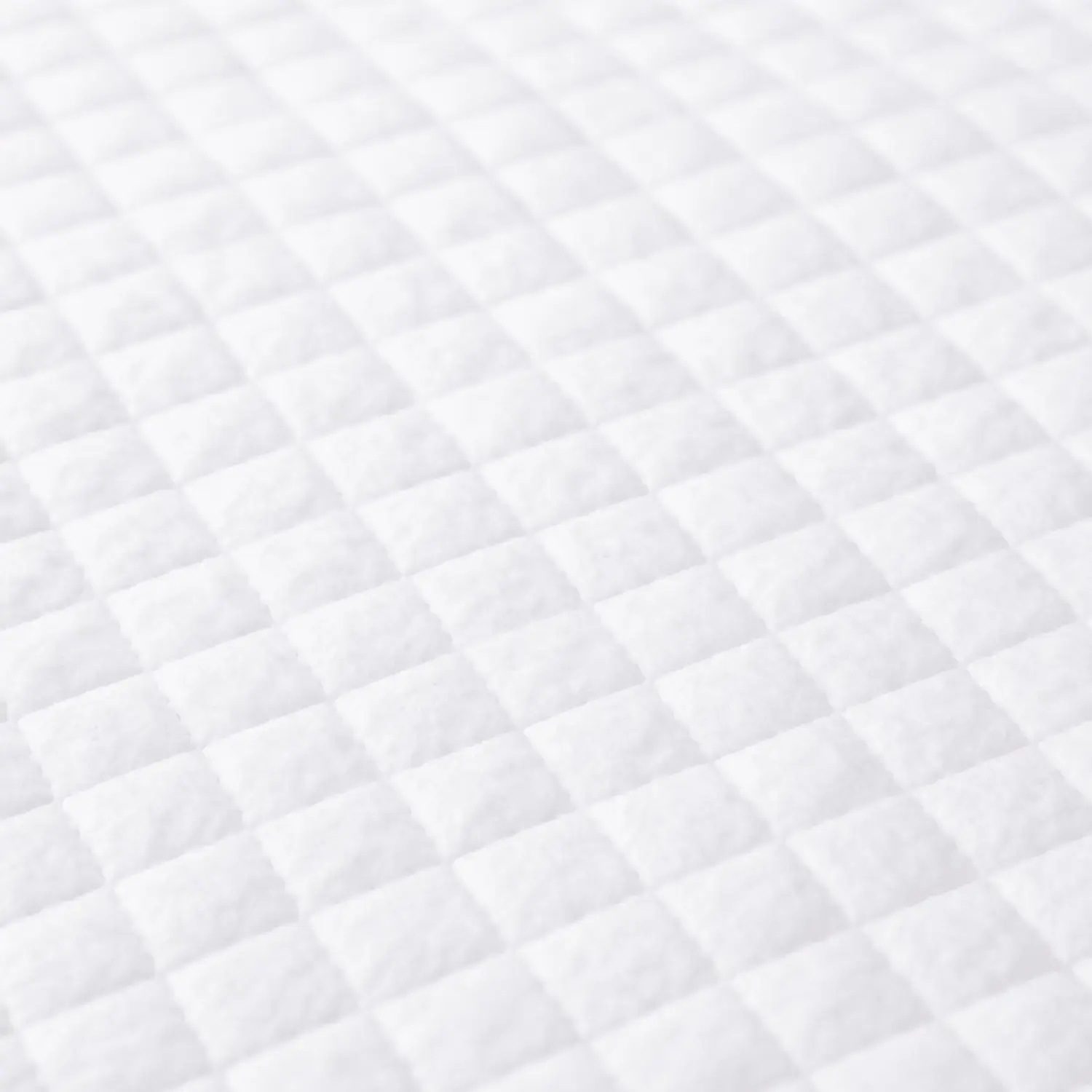 Tappetino igienico cane 60x90 con polimeri attivi antiodore
