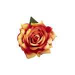 dettaglio-rosa