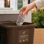 Bicchiere trasparente compostabile conferibile nella raccolta organica