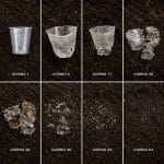 Processo di biodegradazione di bicchiere compostabile trasparente nel compost