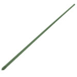 canna-dettaglio