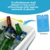 Frigorifero termico portatile 19,5 litri con bottiglie e ghiaccio