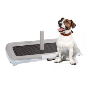 Toilette Educativa per cuccioli 60×40 cm