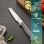 Coltelli da pizza lavabili in lavastoviglie in acciaio inox senza BPA per alimenti