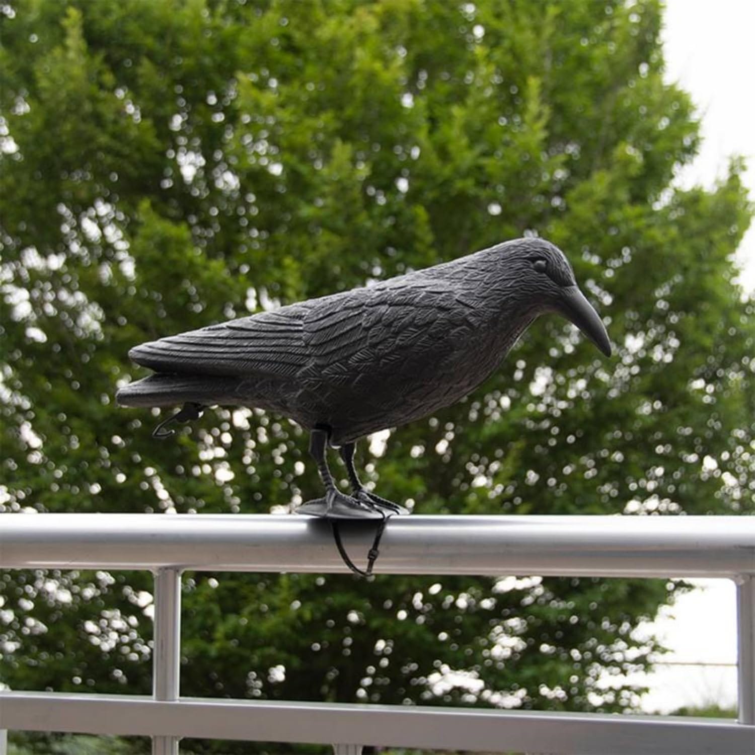 Corvo spaventapiccioni realistico per ringhiera balcone, repellente uccelli da esterno