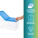 Contenitore salvaspazio trasparente con coperchio blu pieghevole e chiusure a scatto