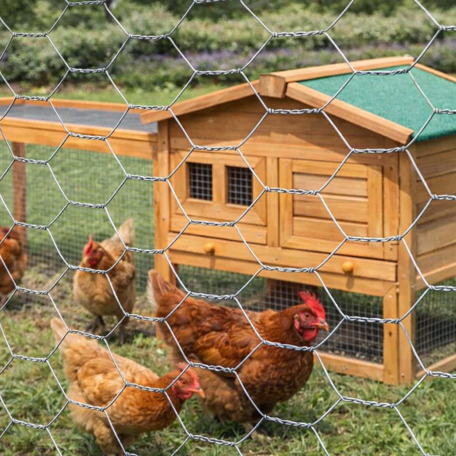 rete metallica zincata a rombi Rete metallica zincata a rombi per pollaio e recinzioni, rete resistente per animali