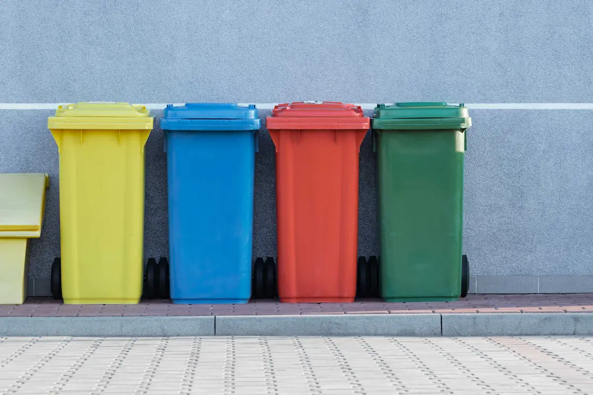 Guida smaltimento stoviglie monouso: umido organico, indifferenziato e raccolta carta con esempi pratici